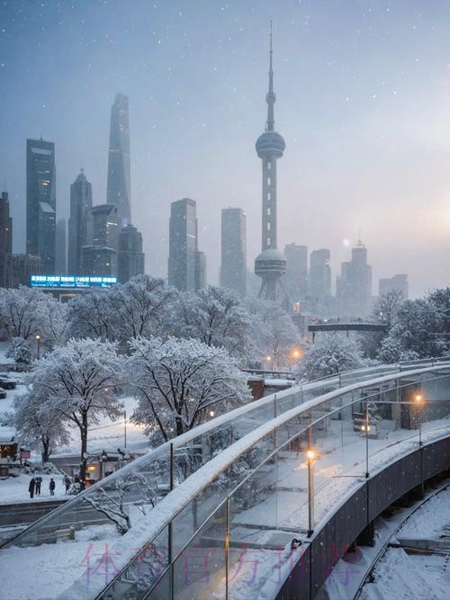 【有奖活动】坐标上海，此刻正在下雪！JRs所在的城市下第一场雪了吗？